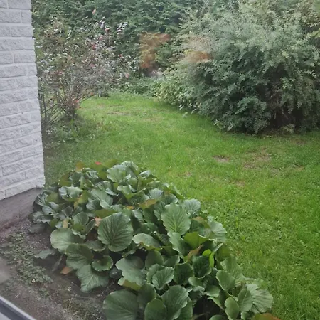 Kodikas Koti 拉普阿